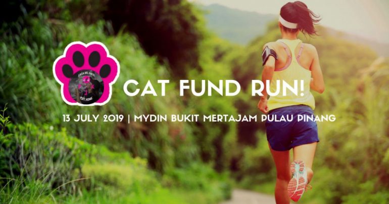 Cat Fund Run 2019